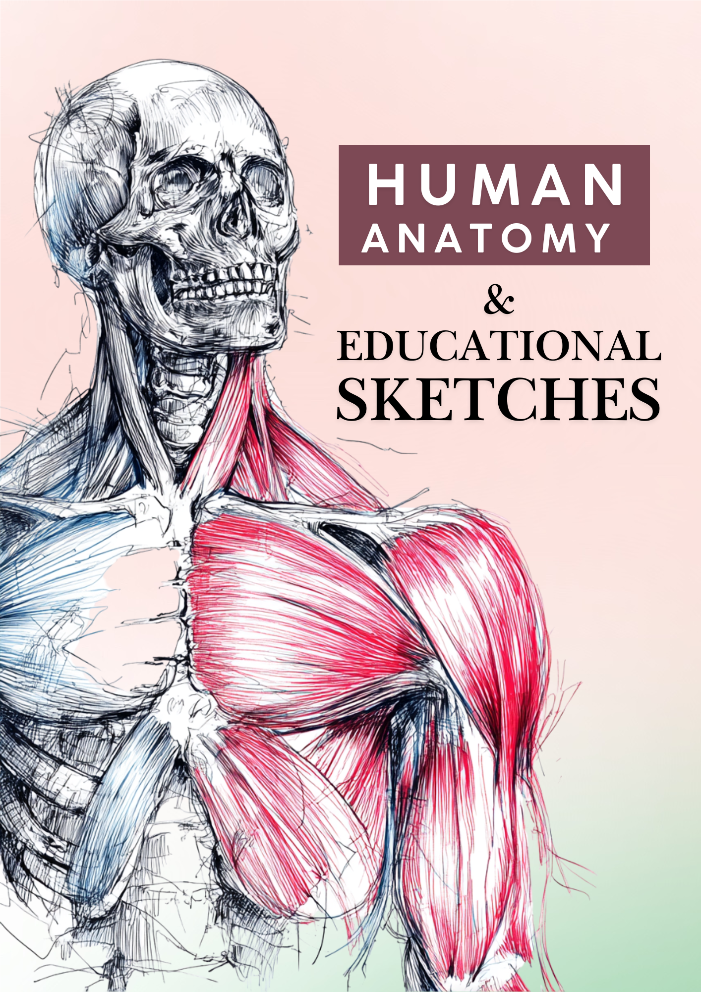 Human Anatomy & Educational Sketches - Instantly Downloadable Digital Adult Colouring Book