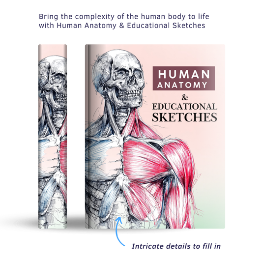 Human Anatomy & Educational Sketches - Instantly Downloadable Digital Adult Colouring Book