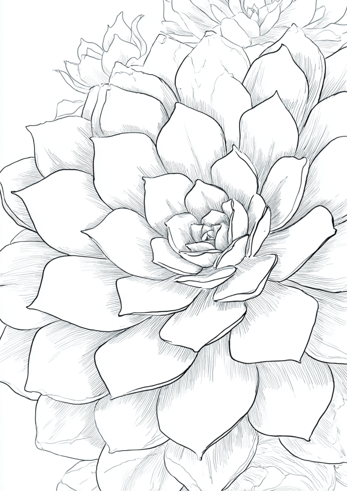 Succulents & Tropical Plants - Instantly Downloadable Digital Adult Colouring Book