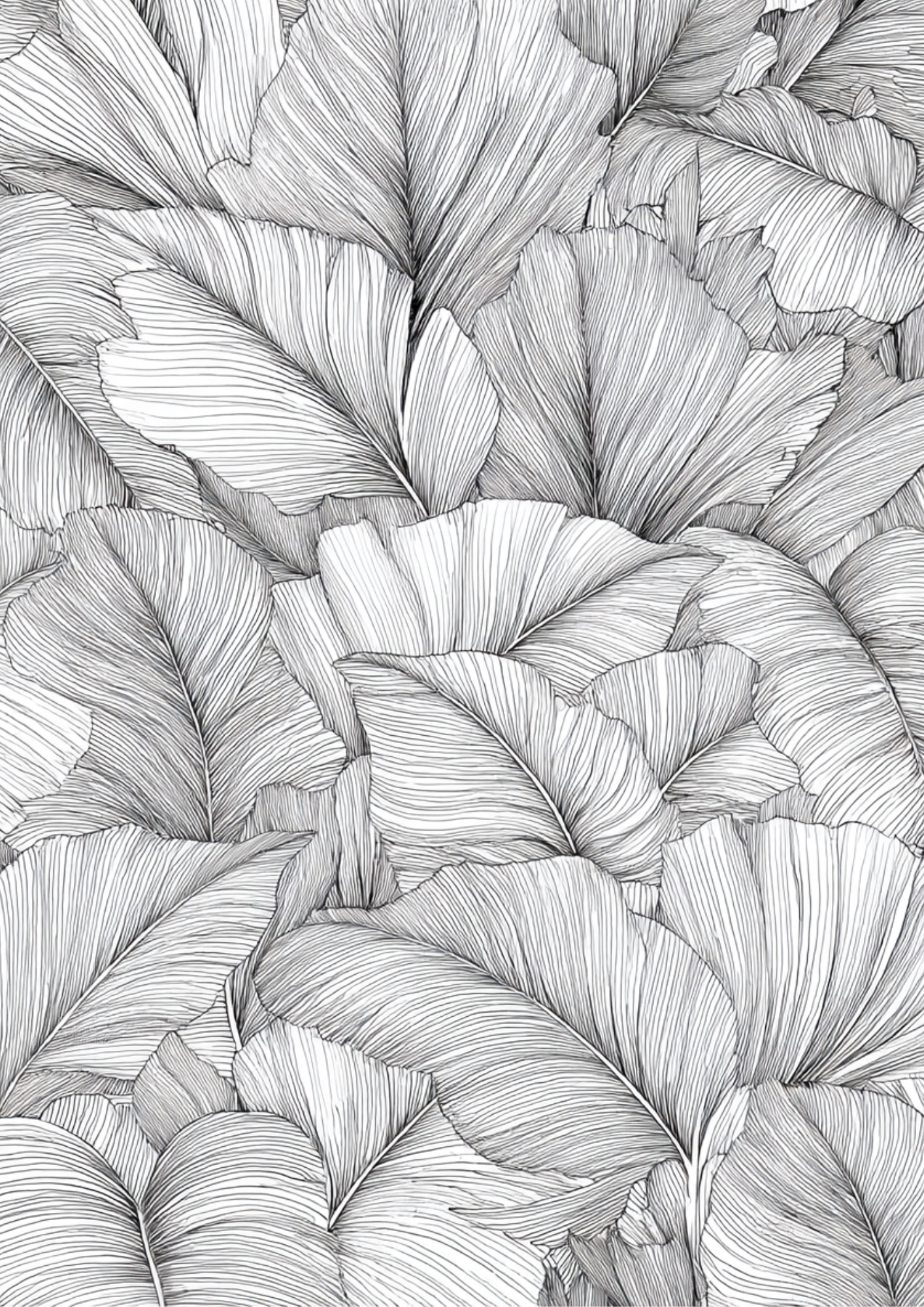 Succulents & Tropical Plants - Instantly Downloadable Digital Adult Colouring Book