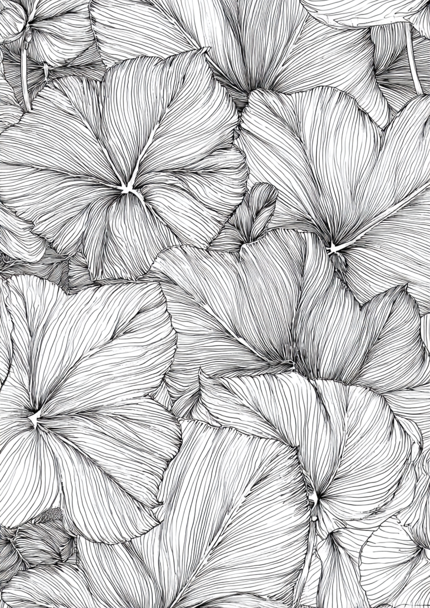 Succulents & Tropical Plants - Instantly Downloadable Digital Adult Colouring Book