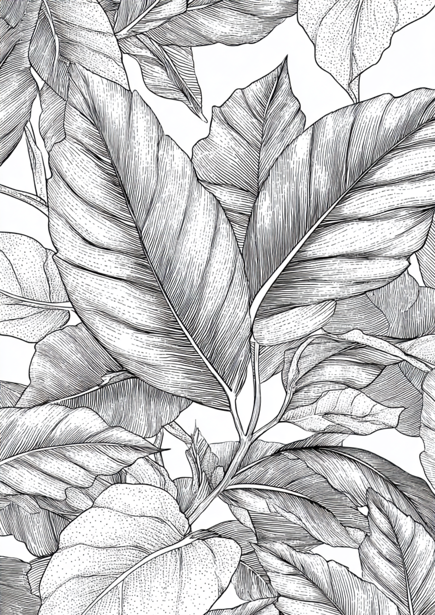Succulents & Tropical Plants - Instantly Downloadable Digital Adult Colouring Book